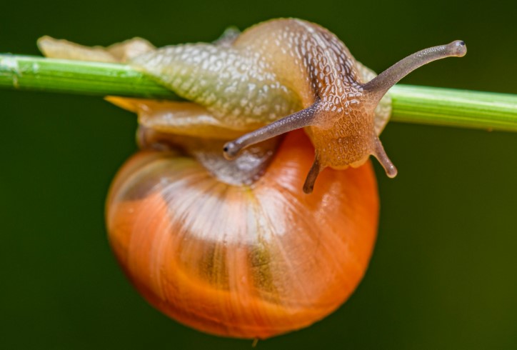 ALF Grup Başkandan Mesaj